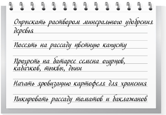 Иллюстрация к книге — Сад и огород для тех, кому за… без лишних усилий [i_006.jpg]