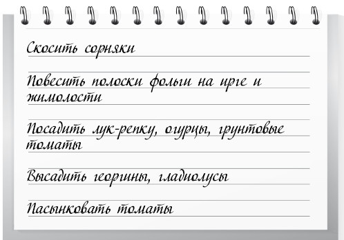 Иллюстрация к книге — Сад и огород для тех, кому за… без лишних усилий [i_007.jpg]