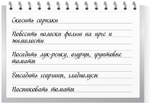 Иллюстрация к книге — Сад и огород для тех, кому за… без лишних усилий [i_008.jpg]