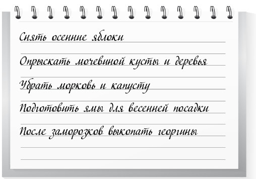 Иллюстрация к книге — Сад и огород для тех, кому за… без лишних усилий [i_011.jpg]