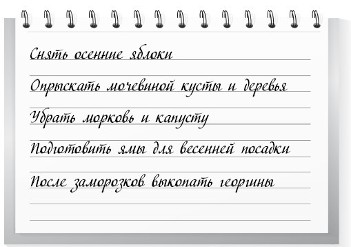 Иллюстрация к книге — Сад и огород для тех, кому за… без лишних усилий [i_012.jpg]