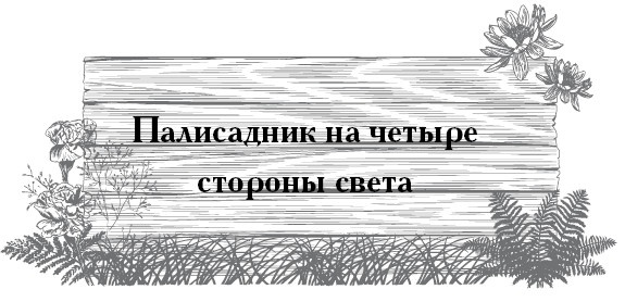 Иллюстрация к книге — Сад и огород для тех, кому за… без лишних усилий [i_018.jpg]