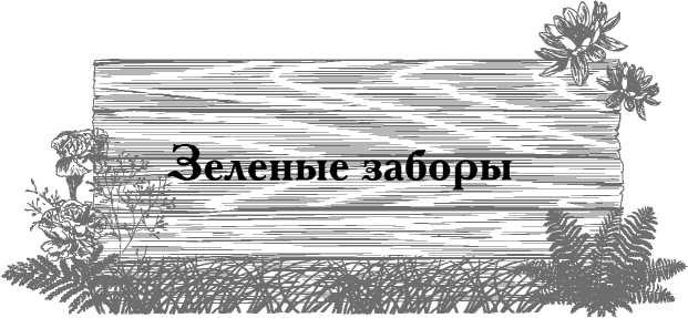 Иллюстрация к книге — Сад и огород для тех, кому за… без лишних усилий [i_023.jpg]