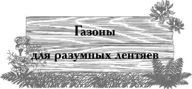 Иллюстрация к книге — Сад и огород для тех, кому за… без лишних усилий [i_029.jpg]