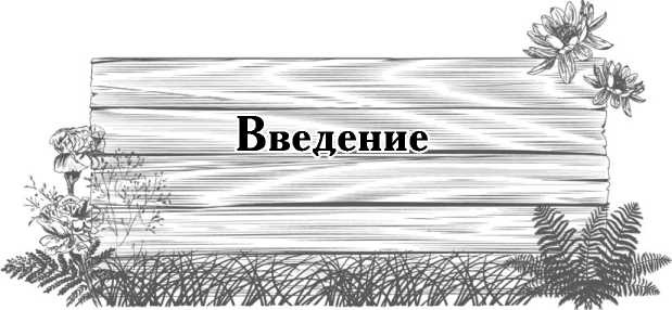 Иллюстрация к книге — Цветник для ленивых. Цветы от последнего снега до первых морозов [i_001.jpg]