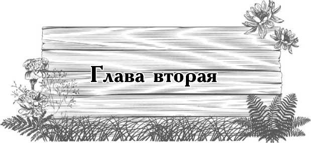 Иллюстрация к книге — Цветник для ленивых. Цветы от последнего снега до первых морозов [i_003.jpg]