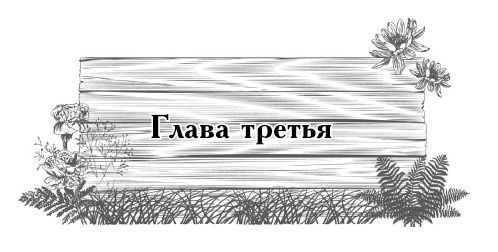 Иллюстрация к книге — Цветник для ленивых. Цветы от последнего снега до первых морозов [i_014.jpg]