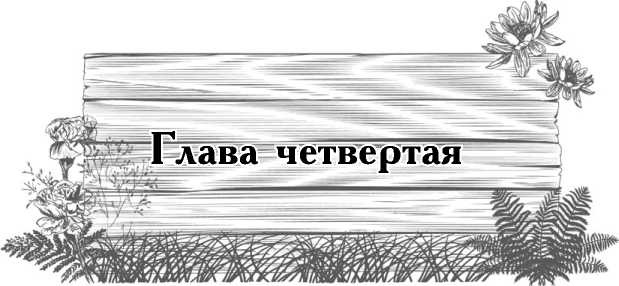 Иллюстрация к книге — Цветник для ленивых. Цветы от последнего снега до первых морозов [i_017.jpg]