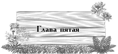 Иллюстрация к книге — Цветник для ленивых. Цветы от последнего снега до первых морозов [i_031.jpg]