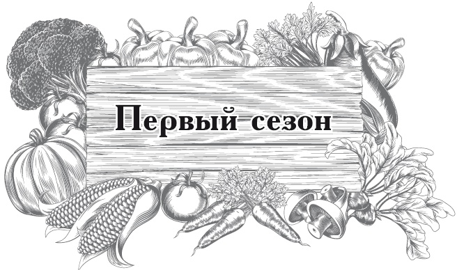 Иллюстрация к книге — Огород по-русски. Мало сажаем, много собираем [i_001.jpg]