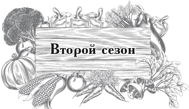Иллюстрация к книге — Огород по-русски. Мало сажаем, много собираем [i_006.jpg]