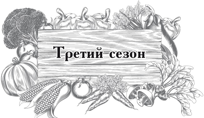 Иллюстрация к книге — Огород по-русски. Мало сажаем, много собираем [i_009.jpg]