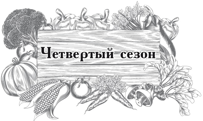 Иллюстрация к книге — Огород по-русски. Мало сажаем, много собираем [i_016.jpg]