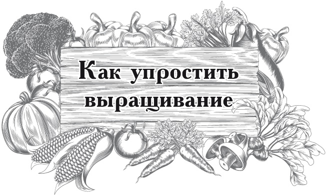 Иллюстрация к книге — Огород по-русски. Мало сажаем, много собираем [i_030.jpg]