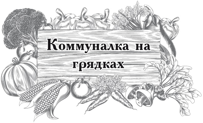 Иллюстрация к книге — Огород по-русски. Мало сажаем, много собираем [i_036.jpg]