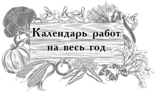 Иллюстрация к книге — Огород по-русски. Мало сажаем, много собираем [i_039.jpg]