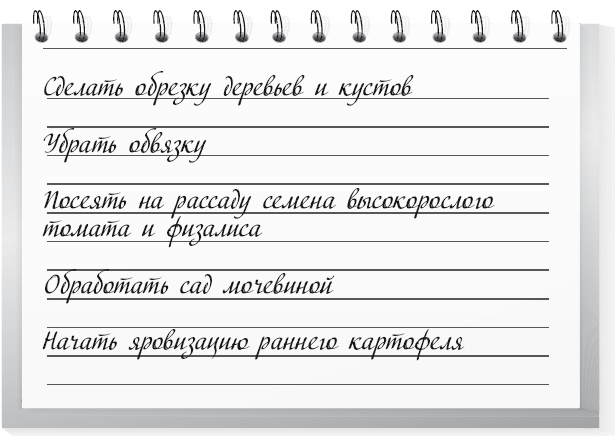 Иллюстрация к книге — Огород по-русски. Мало сажаем, много собираем [i_046.jpg]