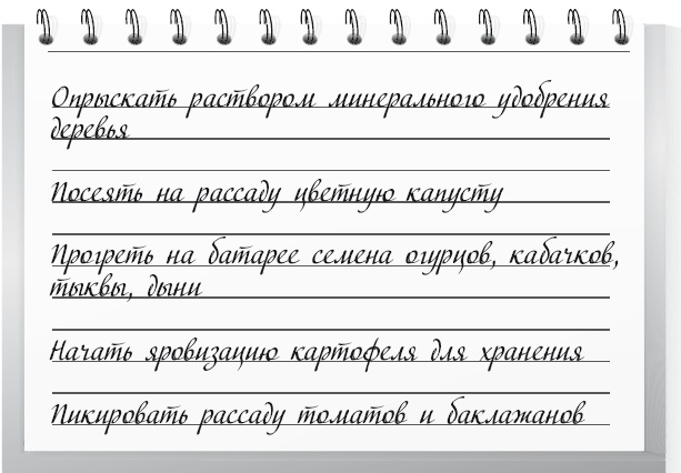 Иллюстрация к книге — Огород по-русски. Мало сажаем, много собираем [i_048.jpg]