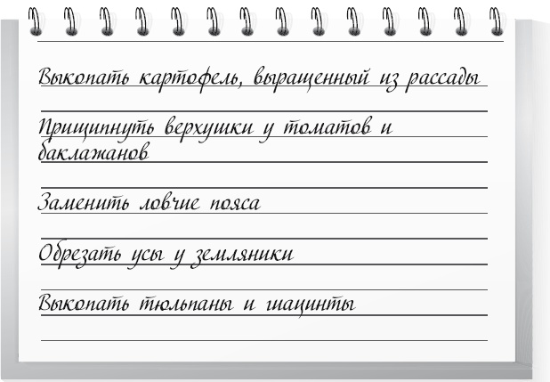 Иллюстрация к книге — Огород по-русски. Мало сажаем, много собираем [i_054.jpg]