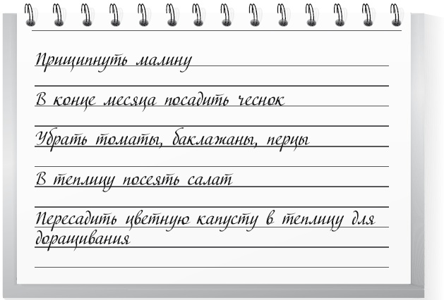 Иллюстрация к книге — Огород по-русски. Мало сажаем, много собираем [i_056.jpg]