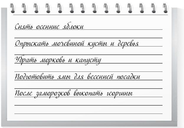 Иллюстрация к книге — Огород по-русски. Мало сажаем, много собираем [i_060.jpg]