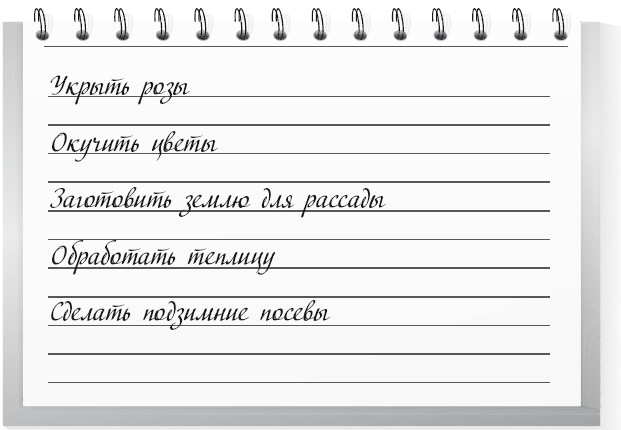 Иллюстрация к книге — Огород по-русски. Мало сажаем, много собираем [i_062.jpg]