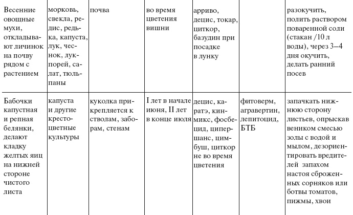 Иллюстрация к книге — Огород по-русски. Мало сажаем, много собираем [i_088.jpg]