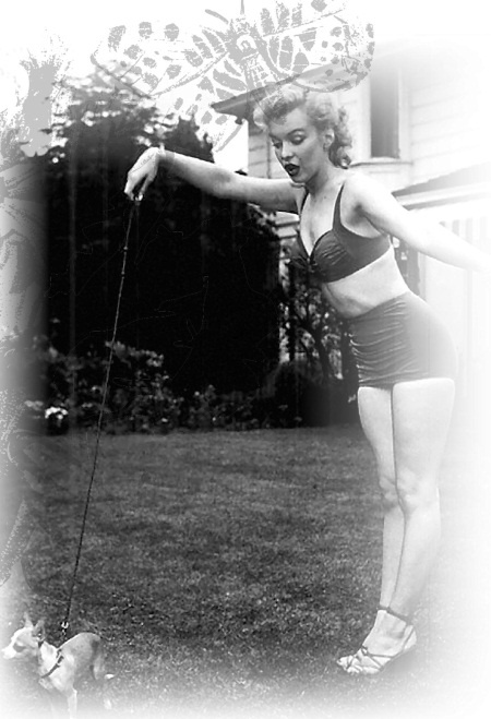 Иллюстрация к книге — Мэрилин Монро [Autogen_eBook_id64.jpg]