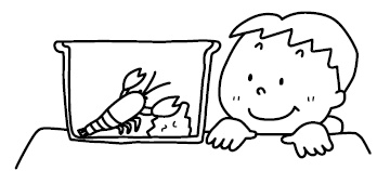 Иллюстрация к книге — Хиромантия и нумерология. Секретные знания. Практическое руководство [i_168.jpg]