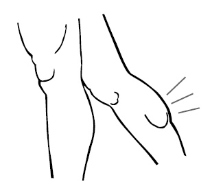 Иллюстрация к книге — Хиромантия и нумерология. Секретные знания. Практическое руководство [i_560.jpg]