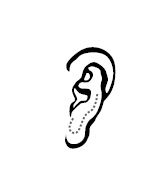 Иллюстрация к книге — Хиромантия и нумерология. Секретные знания. Практическое руководство [i_573.jpg]