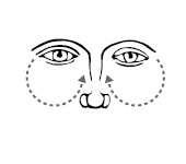 Иллюстрация к книге — Хиромантия и нумерология. Секретные знания. Практическое руководство [i_582.jpg]