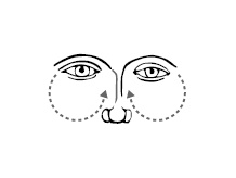 Иллюстрация к книге — Хиромантия и нумерология. Секретные знания. Практическое руководство [i_585.jpg]