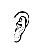 Иллюстрация к книге — Хиромантия и нумерология. Секретные знания. Практическое руководство [i_593.jpg]