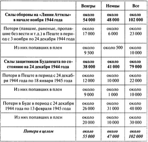 Иллюстрация к книге — 100 дней в кровавом аду. Будапешт - &quot;дунайский Сталинград&quot;? [i_128.jpg]