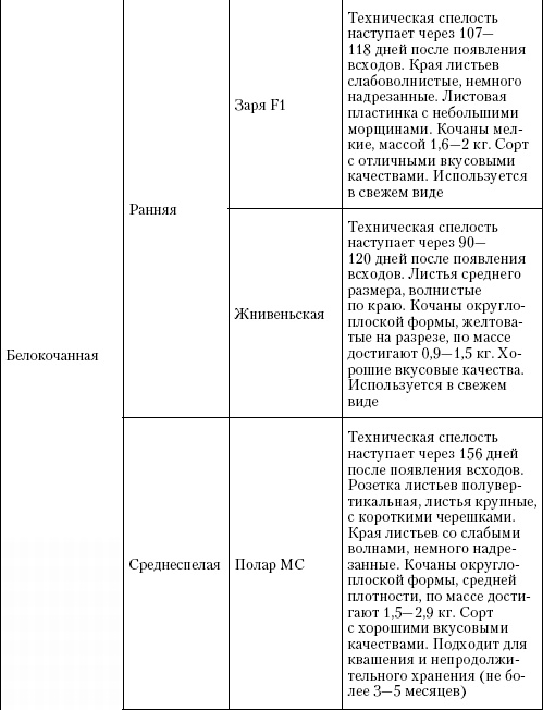 Иллюстрация к книге — Большая энциклопедия дачника [_t12_2.jpg]