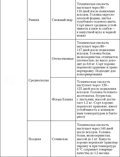 Иллюстрация к книге — Большая энциклопедия дачника [_t12_4.jpg]
