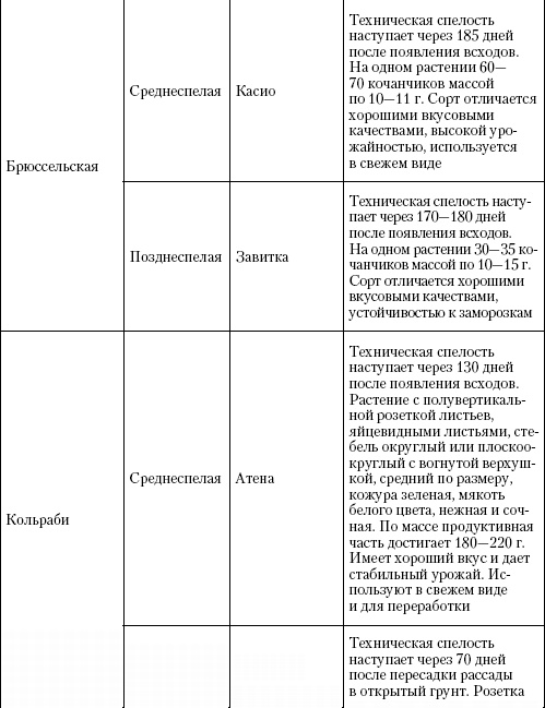 Иллюстрация к книге — Большая энциклопедия дачника [_t12_5.jpg]
