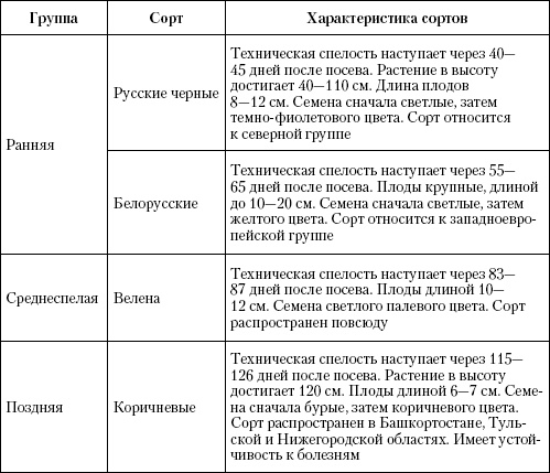 Иллюстрация к книге — Большая энциклопедия дачника [_t21.jpg]