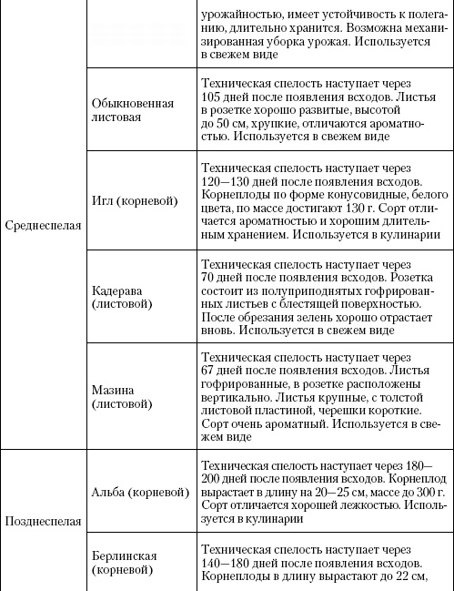 Иллюстрация к книге — Большая энциклопедия дачника [_t28_2.jpg]