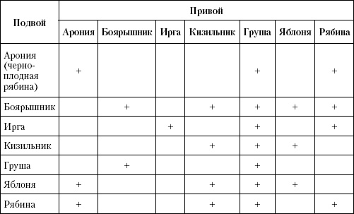 Иллюстрация к книге — Большая энциклопедия дачника [_t39.jpg]