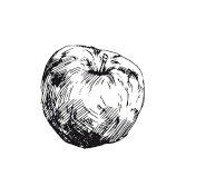 Иллюстрация к книге — 365 рецептов на каждый день [i_019.jpg]