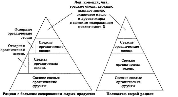 Иллюстрация к книге — Разумное сыроедение. 13-й шаг к здоровью (+ Книга рецептов нового поколения) [i_001.jpg]