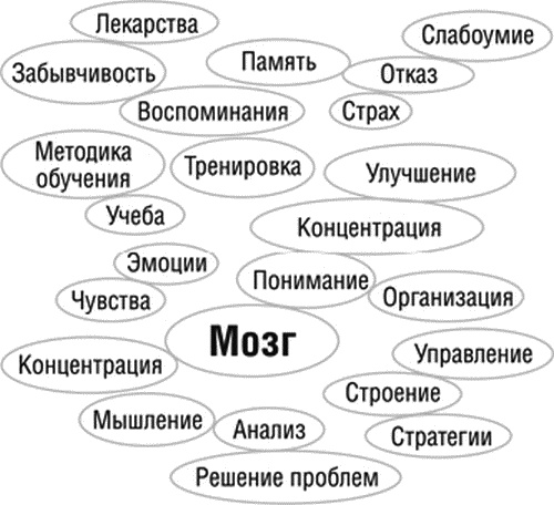 Иллюстрация к книге — Прокачай свой мозг! [_161.jpg]