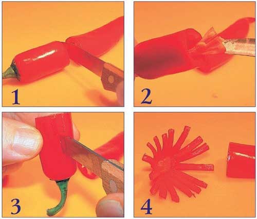 Иллюстрация к книге — Необычные украшения из обычных овощей [Autogen_eBook_id26.jpg]