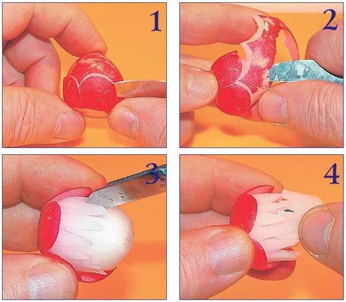 Иллюстрация к книге — Необычные украшения из обычных овощей [Autogen_eBook_id36.jpg]