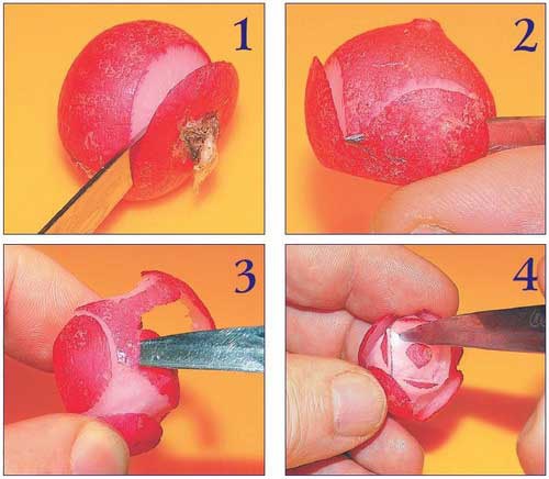 Иллюстрация к книге — Необычные украшения из обычных овощей [Autogen_eBook_id38.jpg]