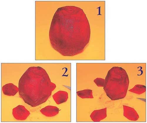 Иллюстрация к книге — Необычные украшения из обычных овощей [Autogen_eBook_id46.jpg]