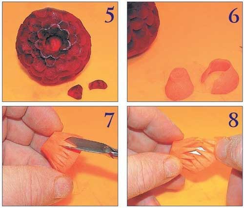 Иллюстрация к книге — Необычные украшения из обычных овощей [Autogen_eBook_id50.jpg]