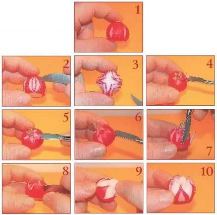 Иллюстрация к книге — Секреты украшения блюд праздничного стола [Autogen_eBook_id139.jpg]